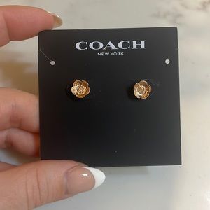 Coach stud flower earrings - never worn
